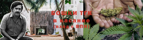 прущая мука Магас