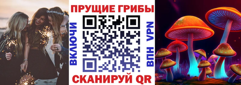 как найти закладки  Стрежевой  Галлюциногенные грибы GOLDEN TEACHER 